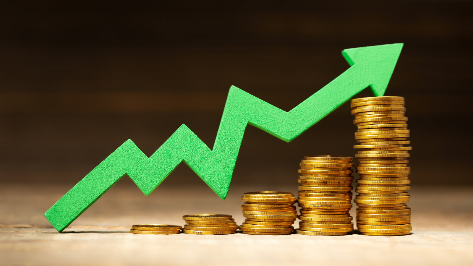 הגדלת הכנסה